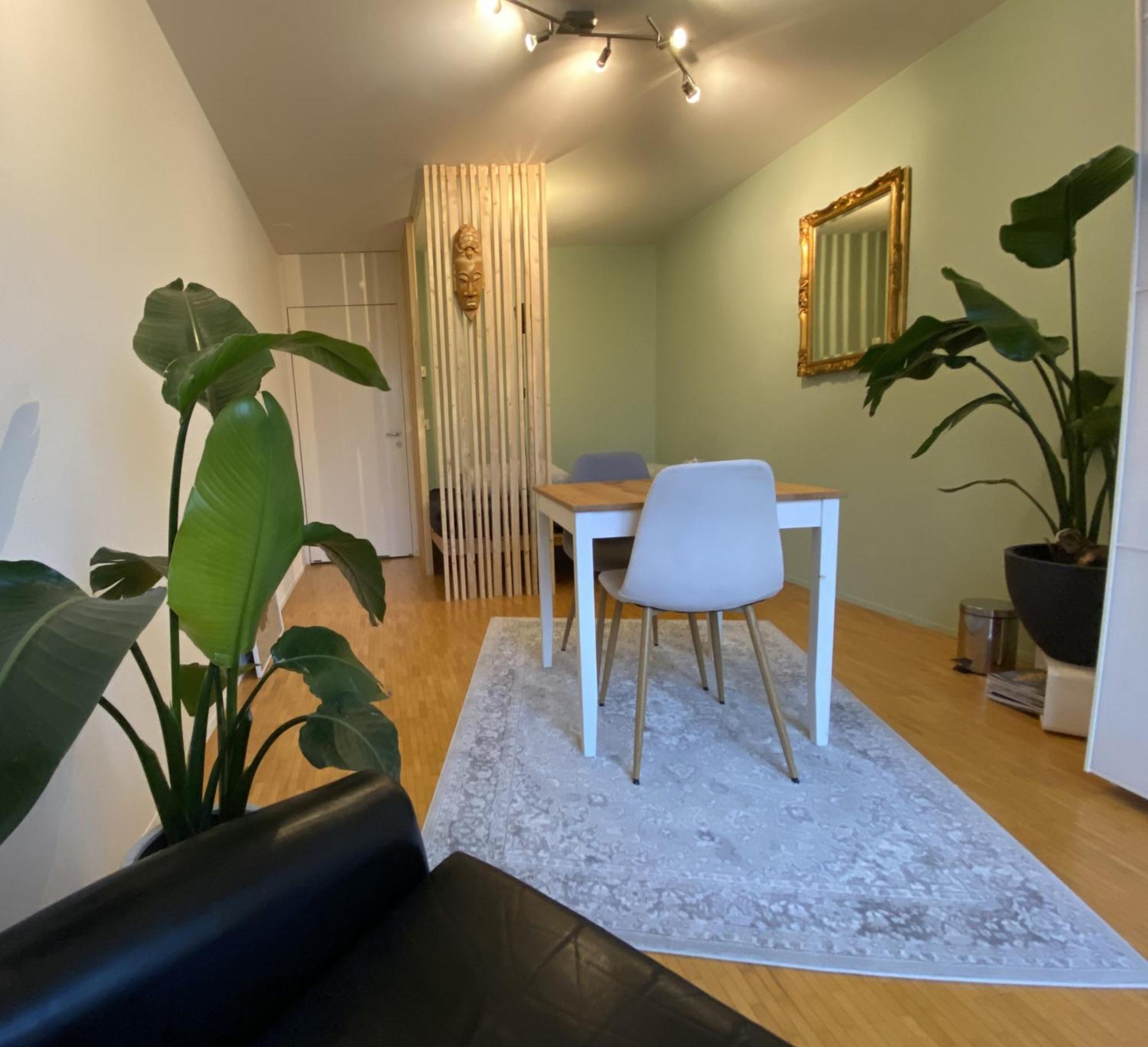 Apartamento Limmatspitz Gebenstorf Exterior foto